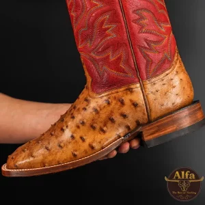 Genuine Honey Full Quill Ostrich - Square Toe (Made In USA)