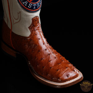 Genuine Cognac Full Quill Ostrich - Square Toe