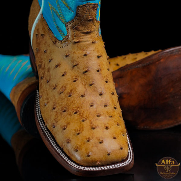 Genuine Honey Full Quill Ostrich - Square Toe (Made In USA)