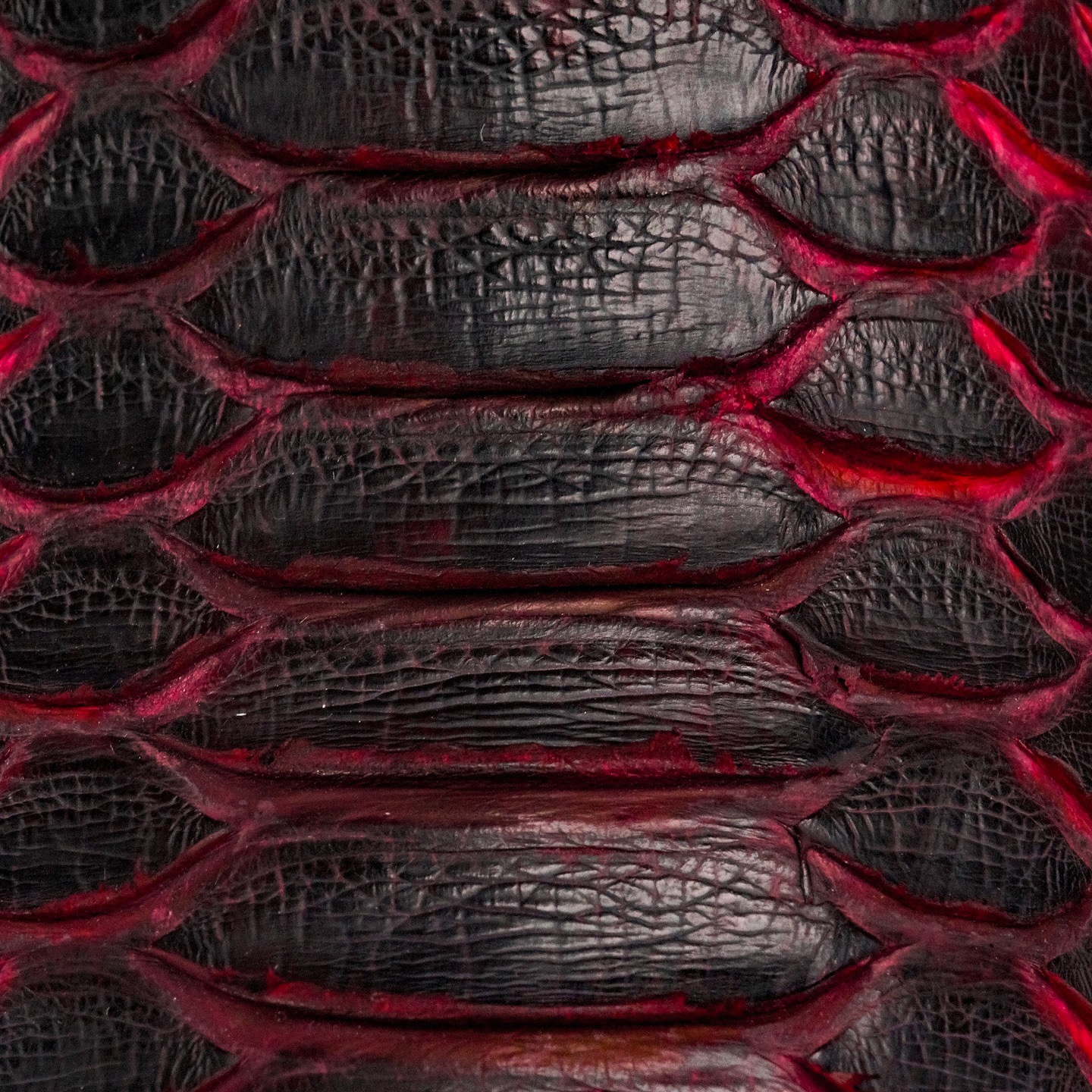 Genuine Full Black Cherry Python - Square Toe (FREE Belt & Wallet) - Image 3