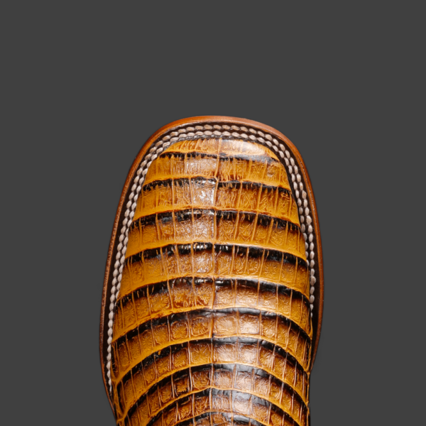Honey Caiman Belly– Square Toe - Image 3