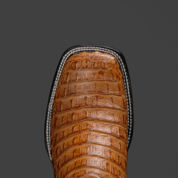 Honey Caiman Horn Back - Square Toe - Image 2