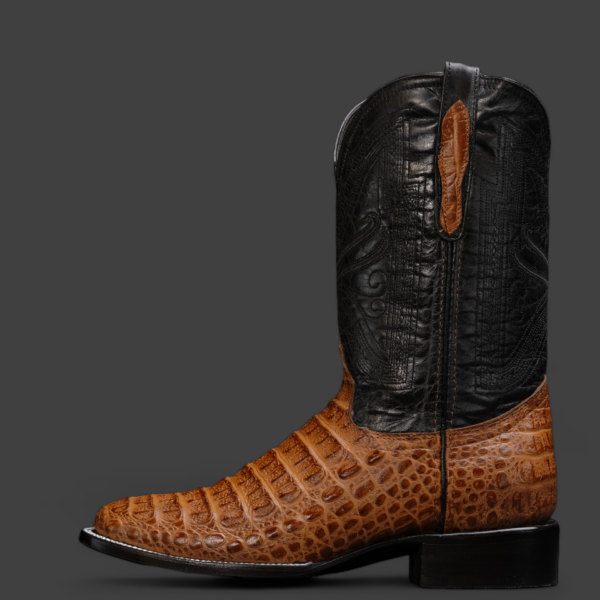 Honey Caiman Horn Back - Square Toe