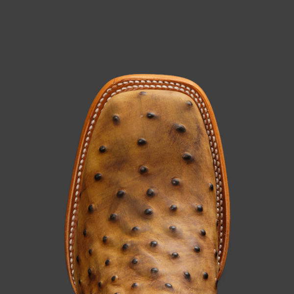 Matte Honey Ostrich – Square Toe - Image 3