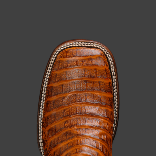 Cognac Caiman Horn Back - Square Toe - Image 3