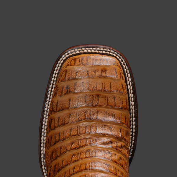 Honey Caiman Horn Back - Square Toe - Image 3