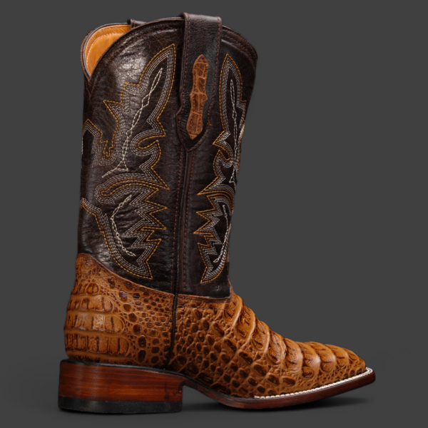 Honey Caiman Horn Back - Square Toe - Image 2