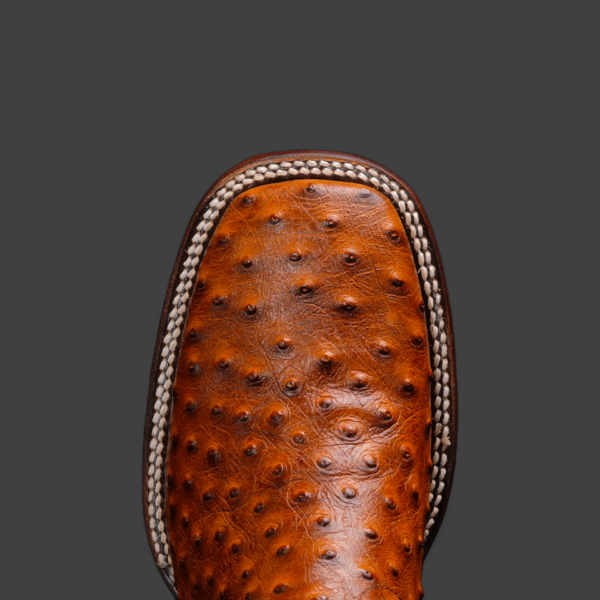 Cognac Ostrich – Square Toe - Image 3