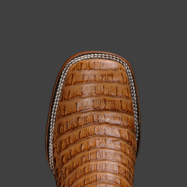 Honey Caiman Horn Back– Square Toe - Image 2