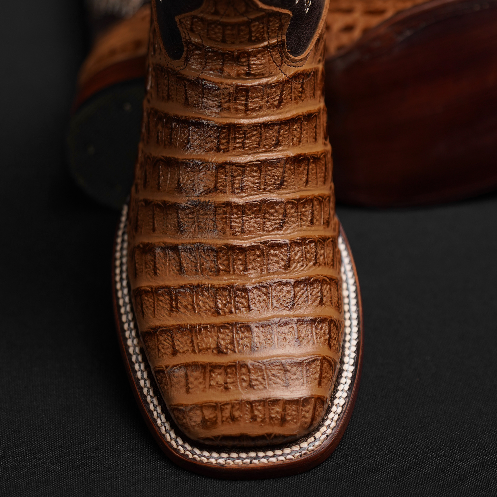 Honey Caiman Horn Back - Square Toe - Image 2