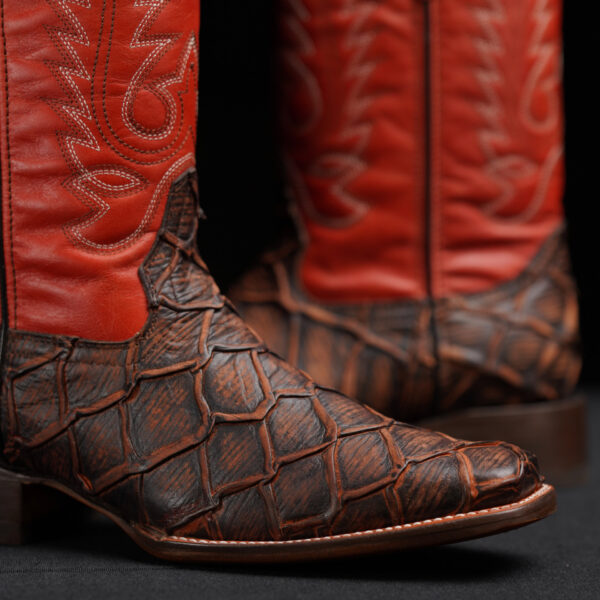 Cognac Pirarucu - Rodeo Toe - Image 3