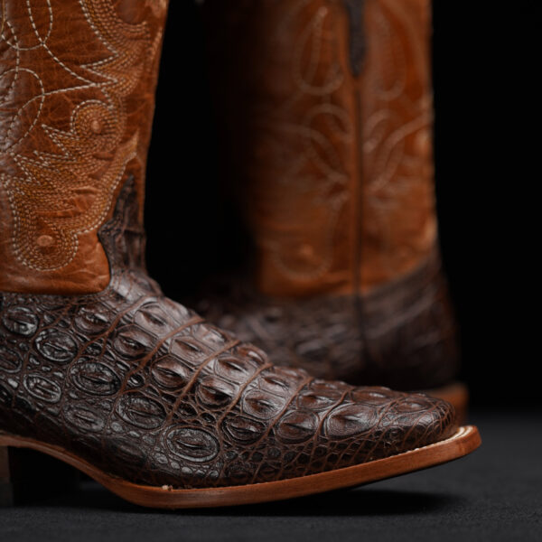 Brown Caiman Horn Back– Square Toe - Image 3