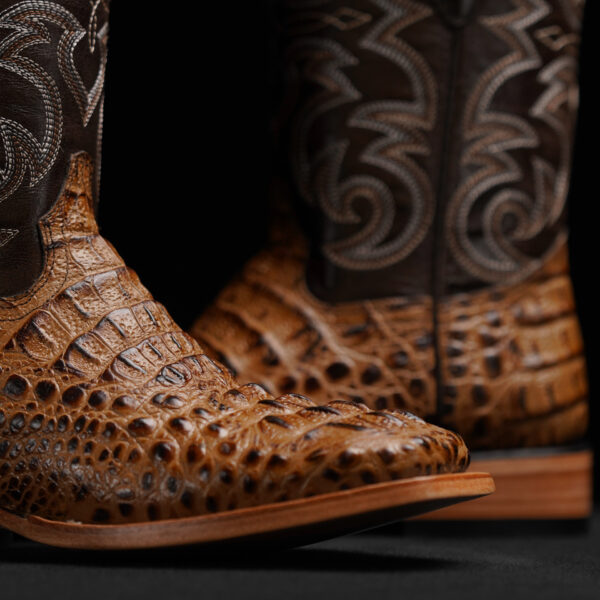 Honey Caiman Neck - Square Toe - Image 3