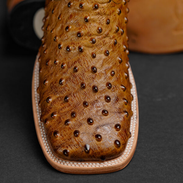 Honey Ostrich – Square Toe - Image 2
