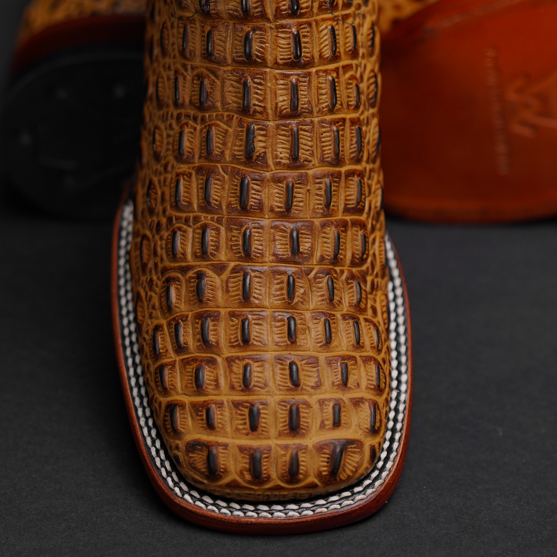 Honey Caiman Horn Back– Square Toe - Image 3