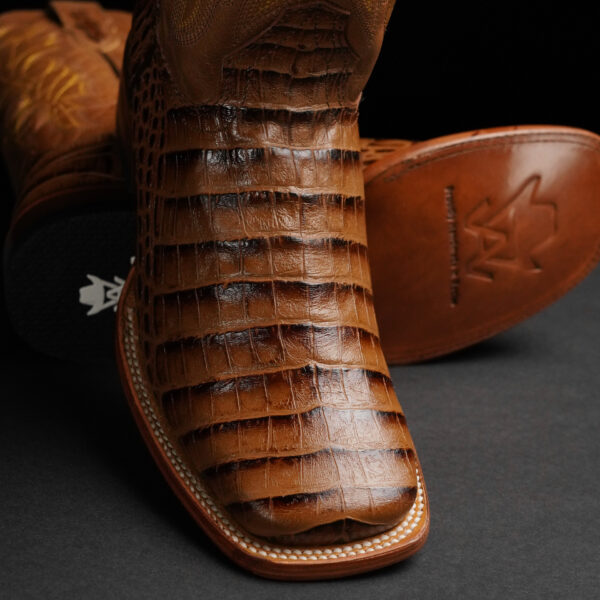 Honey Caiman Belly – Square Toe - Image 2