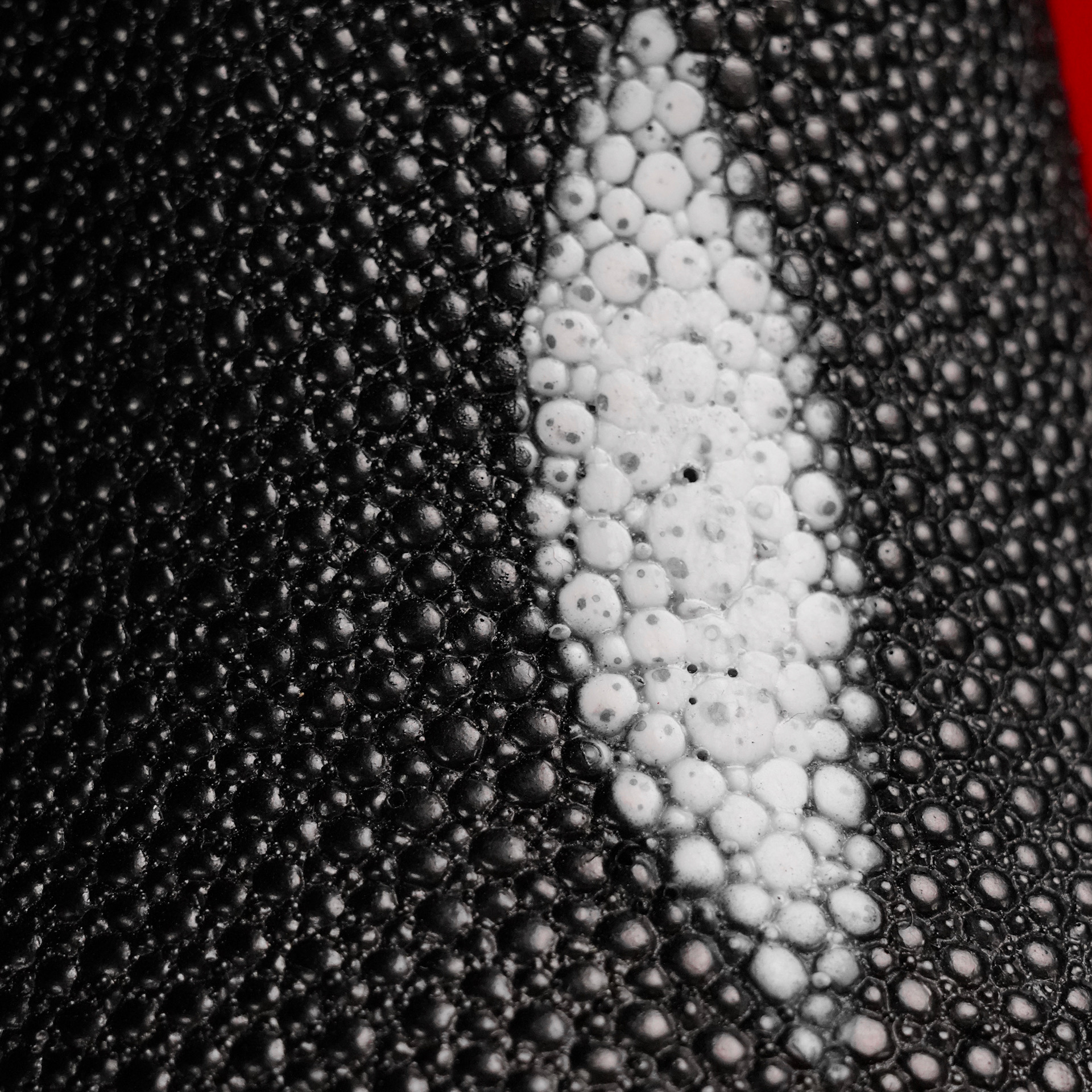 Stingray – Square Toe - Image 3