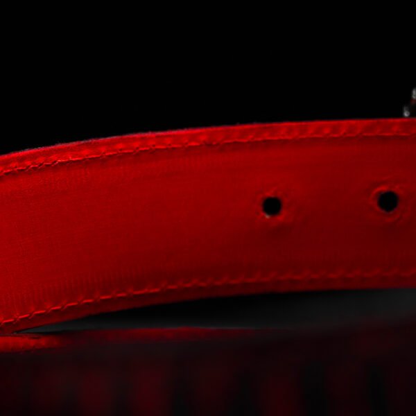 "TAKE OVER" Combo (Belt/Wallet) - Image 6
