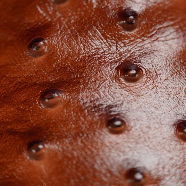 Cognac Ostrich – Sqaure Toe - Image 3