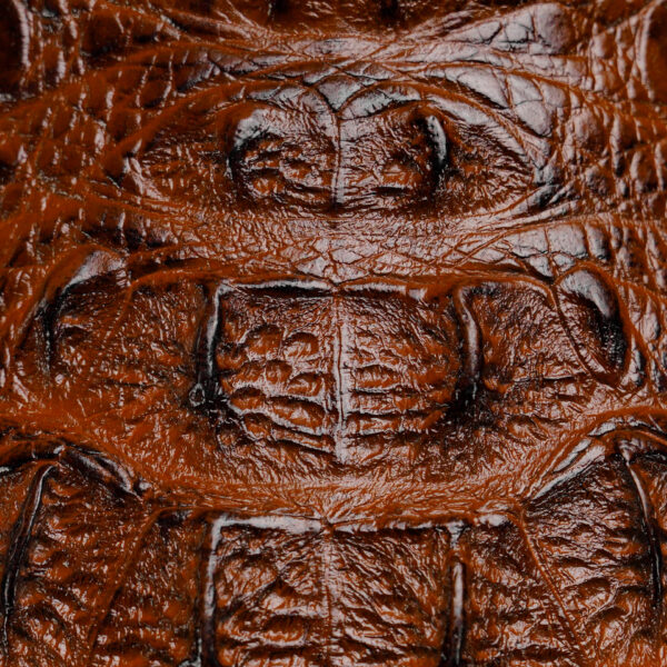Brown Caiman Neck- Square Toe - Image 3