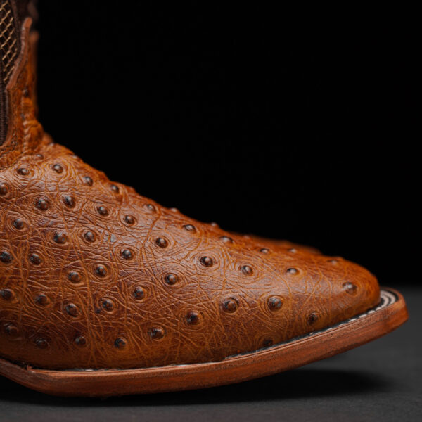Honey Ostrich – Square Toe - Image 2
