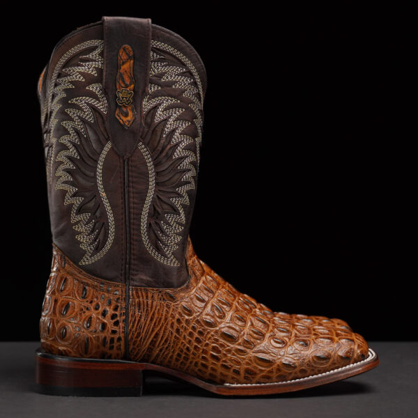 Honey Caiman Horn Back – Square Toe - Image 2
