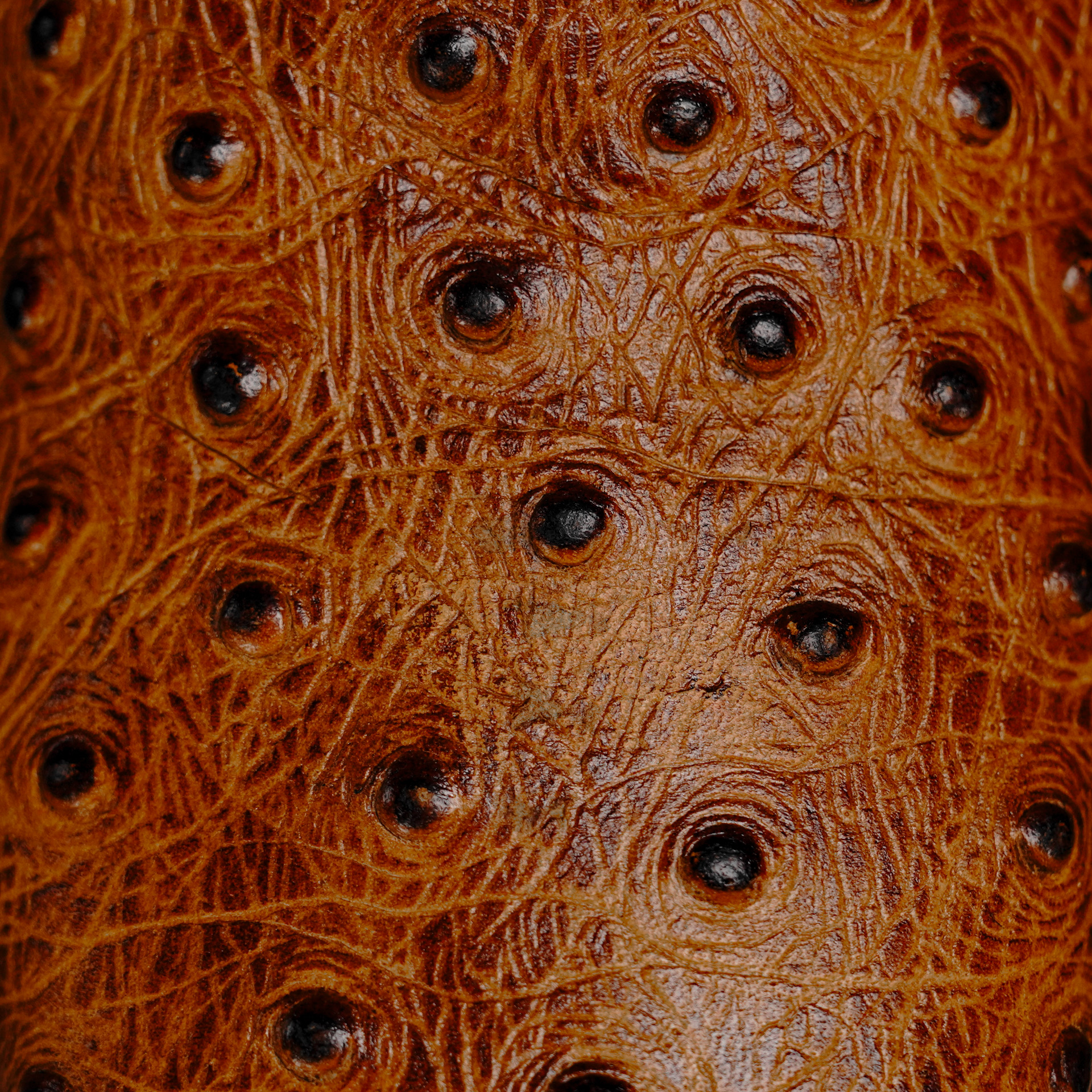 Honey Ostrich – Square Toe - Image 4