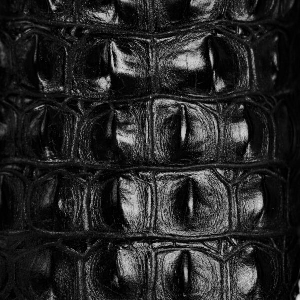 Black Caiman Horn Back - Square Toe - Image 4