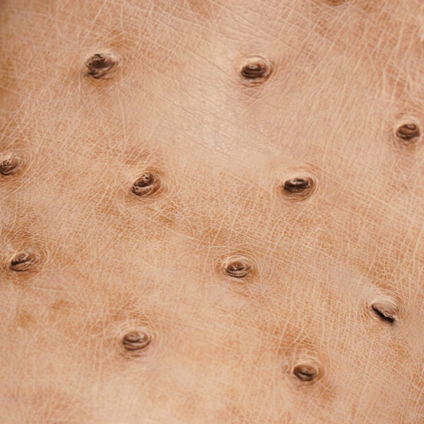 Custom Genuine Full Quill Tan Ostrich - Square Toe - Image 4
