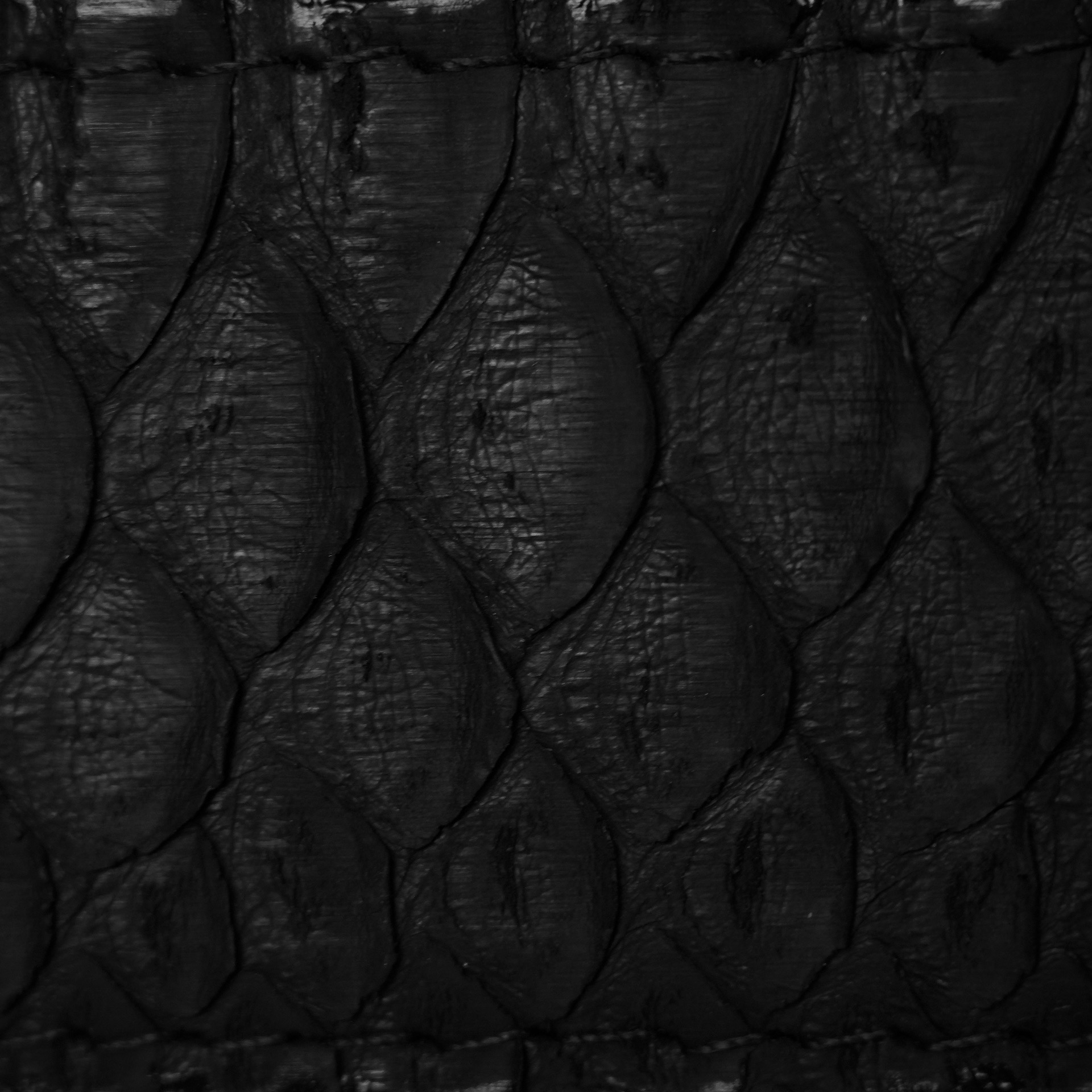 Genuine Black Python Belt - Image 2