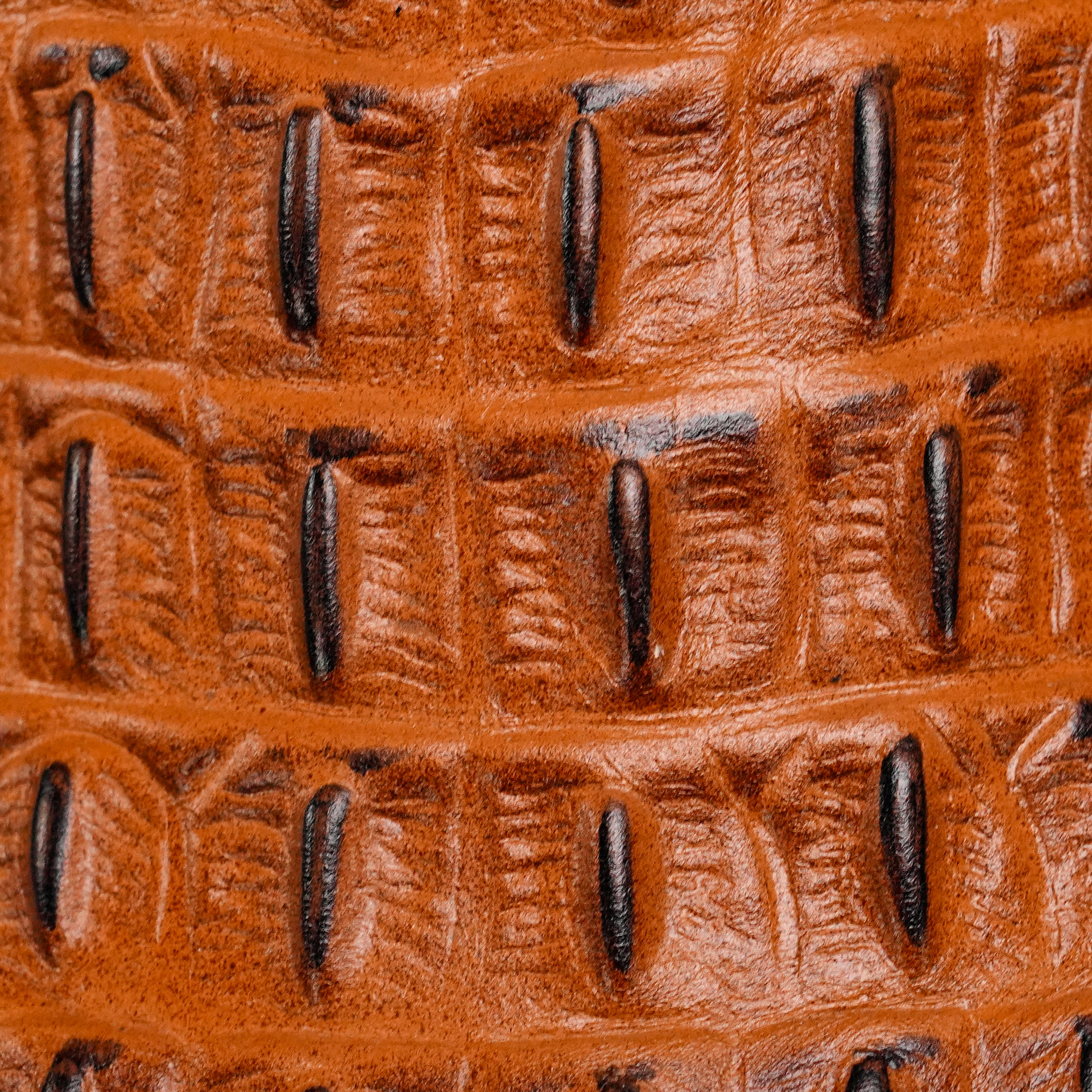 Cognac Caiman Horn Back - Square Toe - Image 3