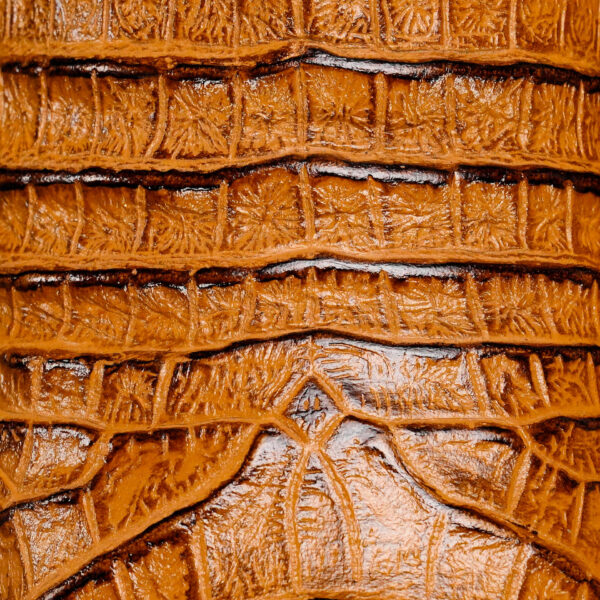 Honey Caiman Belly – Square Toe - Image 4