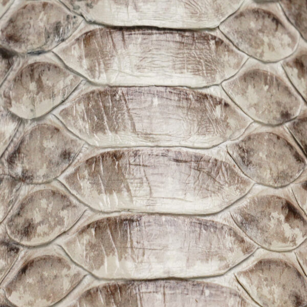 AUTHENTIC Natural Python – Square Toe - Image 4