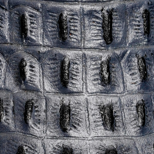 Gray Caiman Horn Back – Square Toe - Image 4