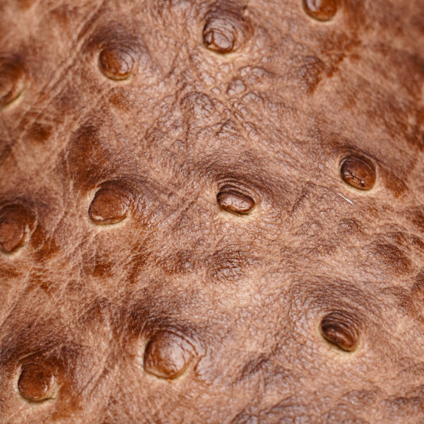 Orix Ostrich – Square Toe - Image 4