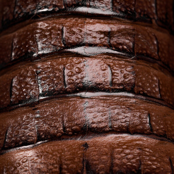 Brown Caiman Horn Back - Square Toe - Image 4