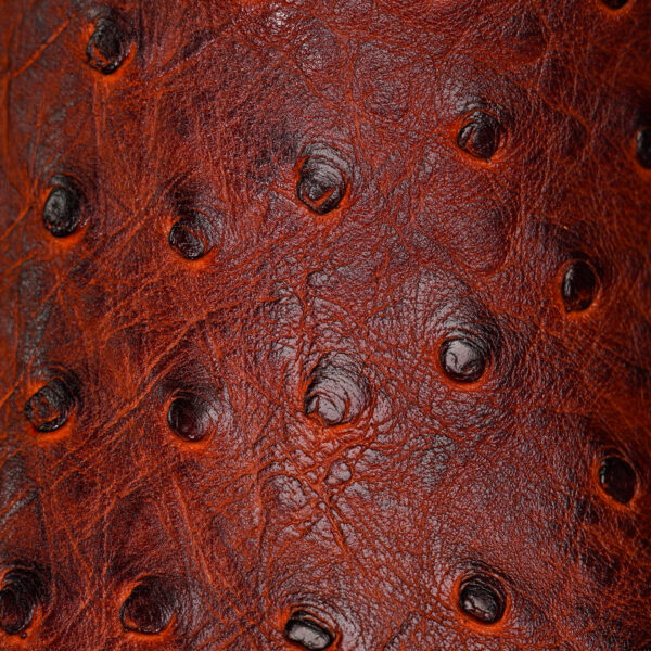 Cognac Ostrich – Square Toe - Image 4