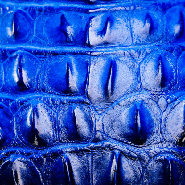 Royal Blue Caiman Horn Back - Square Toe - Image 4