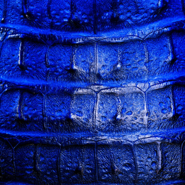 Royal Blue Caiman Horn Back - Square Toe - Image 4