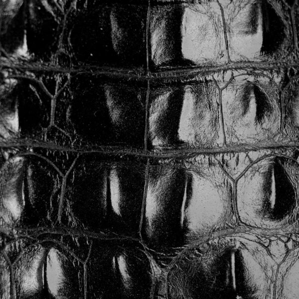 Black Caiman Horn Back - Square Toe - Image 4