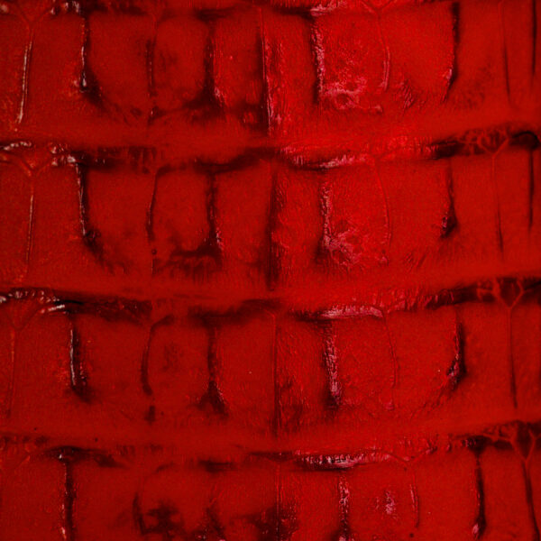 Matte Red Caiman Horn Back – Square Toe - Image 4