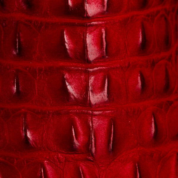 Red Caiman Horn Back – Square Toe - Image 4