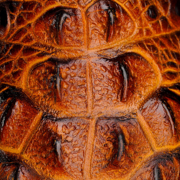 Honey Caiman Neck – Square Toe - Image 4