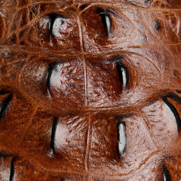Brown Caiman Neck - Square Toe - Image 4