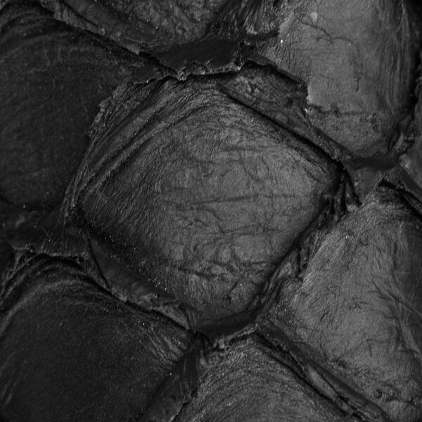 Matte Black Pirarucu – Square Toe - Image 4