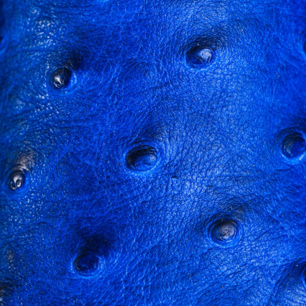 Royal Blue Ostrich – Square Toe - Image 4