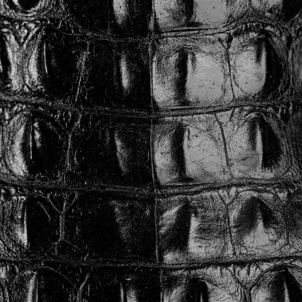 Black Caiman Horn Back - Square Toe - Image 4