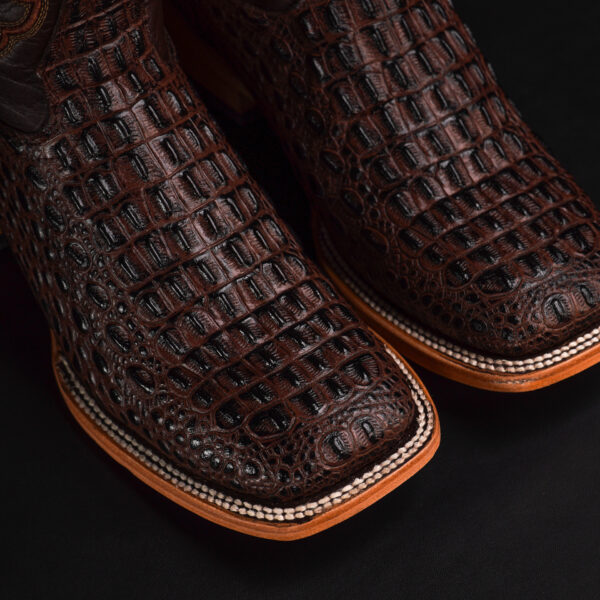Brown Caiman Horn Back - Square Toe - Image 3