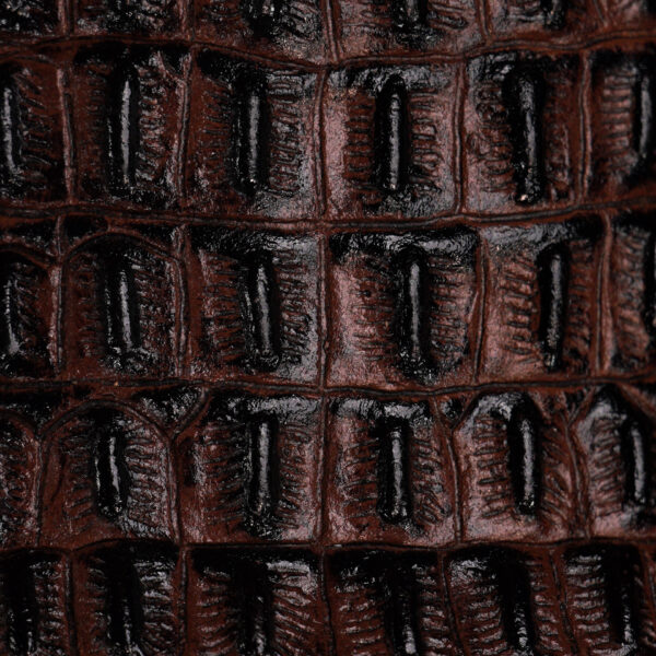 Brown Caiman Horn Back - Square Toe - Image 4