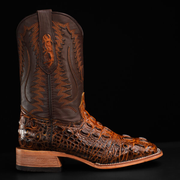 Honey Caiman Neck – Square Toe - Image 2